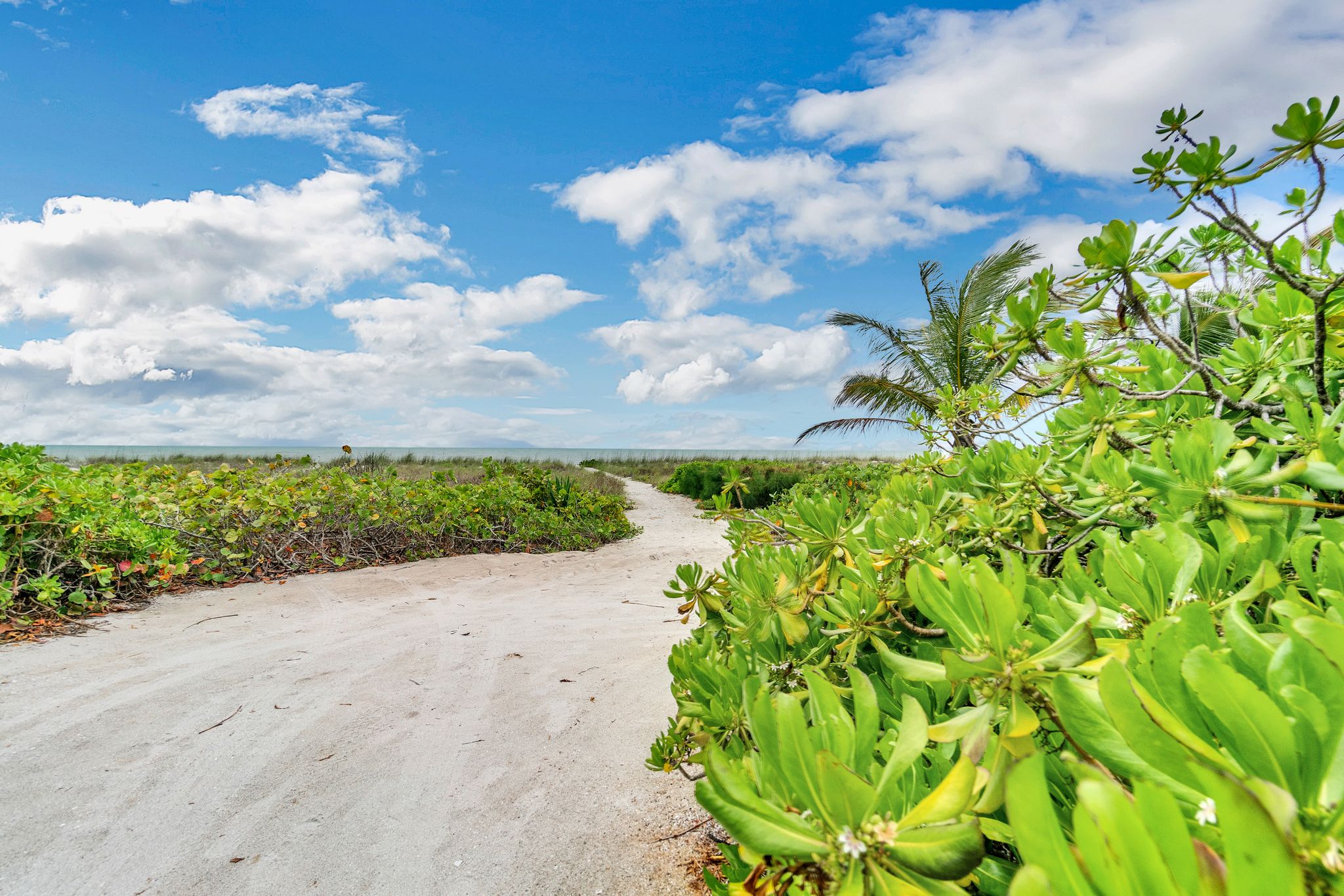 A sandy road near beach flora on a sunny day with clouds in the sky at the Sea Oats Estate in Captiva Island, FL