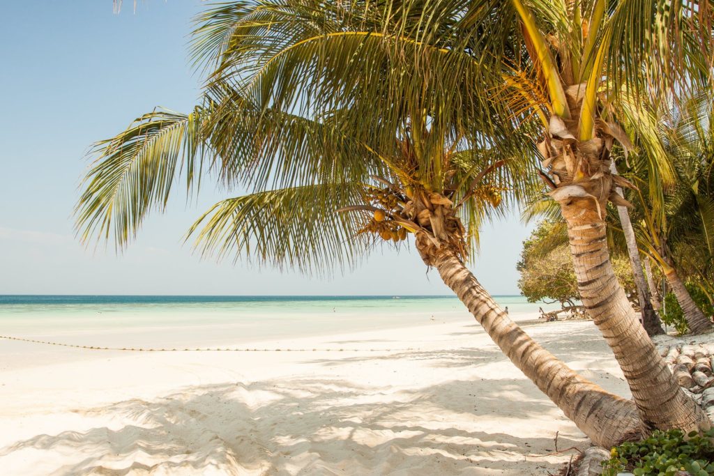 White sand beach with clear blue water in Captiva Island, FL with large beautiful palm trees