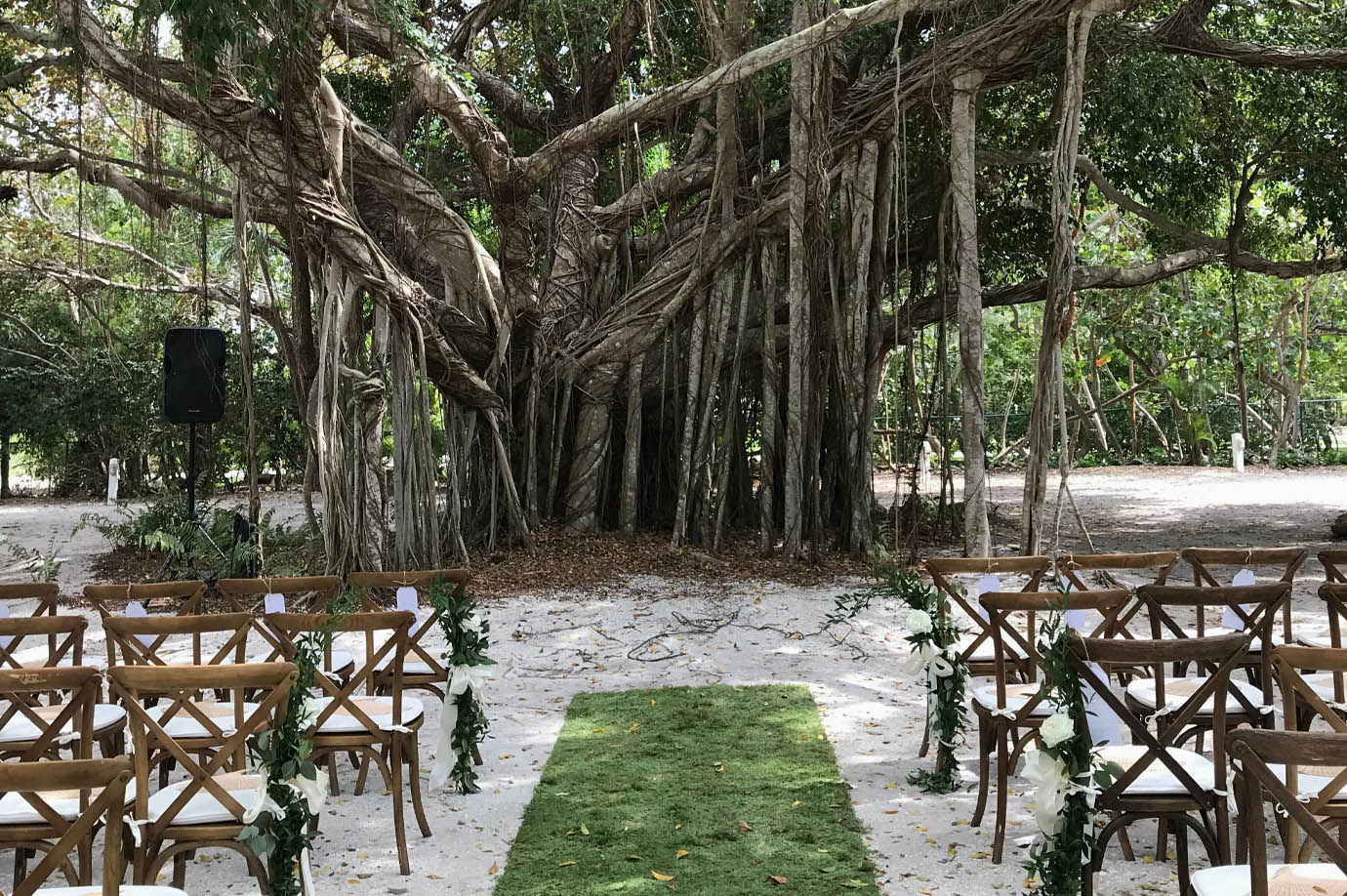 Brown chairs arranged for a wedding with green grass between them in front of large tree at the Sea Oats Estate in Captiva Island, FL
